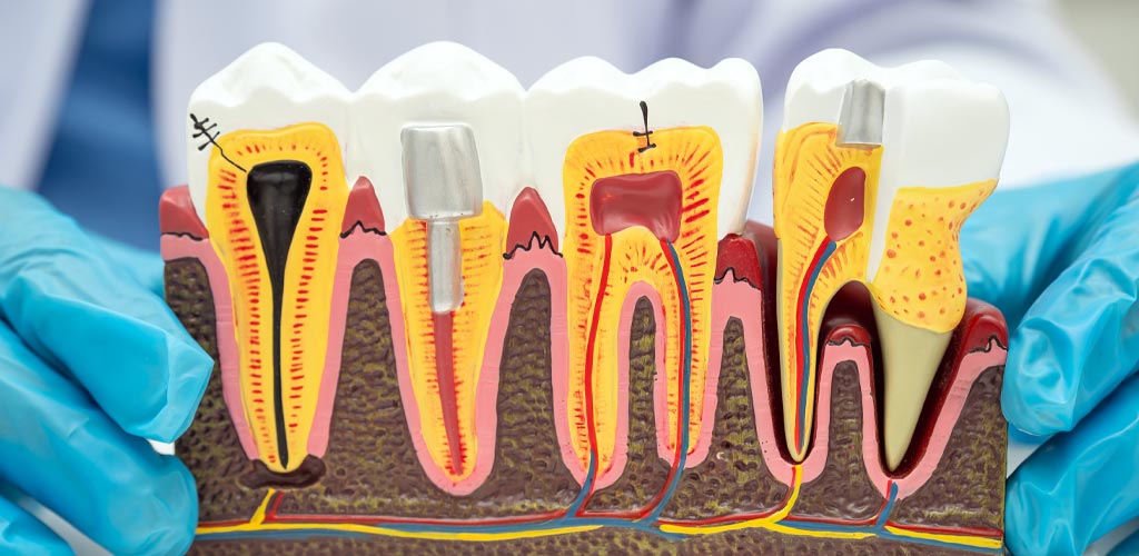 periodoncia-odonto-clinica-dental-doctor-javier-sanchez